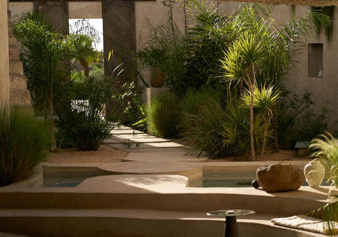 Ecohotel El Agua Арико-эль-Нуэво Экстерьер фото