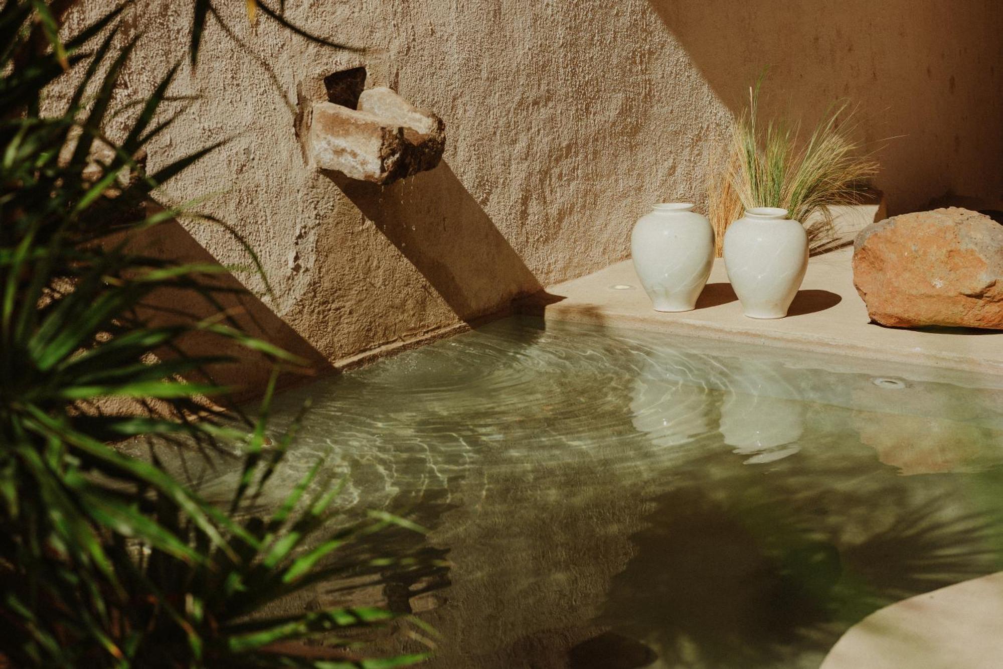 Ecohotel El Agua Арико-эль-Нуэво Экстерьер фото