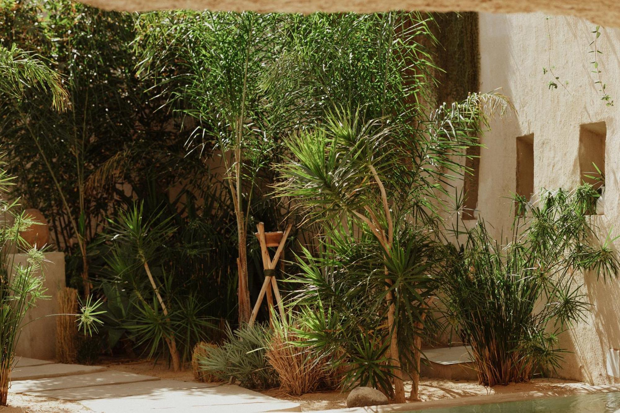 Ecohotel El Agua Арико-эль-Нуэво Экстерьер фото